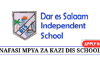 Dar es Salaam Independent School Job Vacancies July 2025