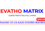 Evatho Matrix Security Ltd 115 Vacancies July 2025
