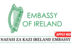 Finance Manager at the Embassy of Ireland in Tanzania July 2025