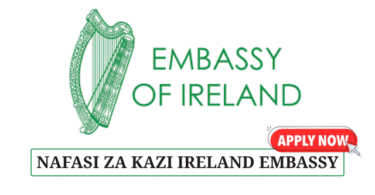 Finance Manager at the Embassy of Ireland in Tanzania July 2025
