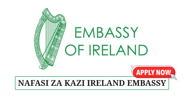 Finance Manager at the Embassy of Ireland in Tanzania July 2025