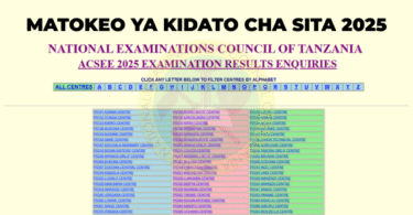 Form Six NECTA Results Are Out Today! How to Check here