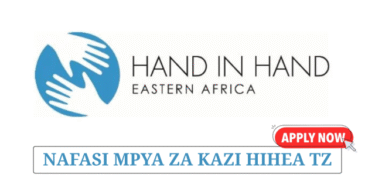 Hand in Hand Eastern Africa Program Accountant (2 Posts) July 2025