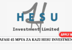 Hesu Investments 45 Job Vacancies July 2025