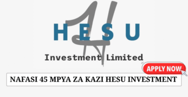 Hesu Investments 45 Job Vacancies July 2025