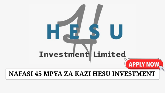 Hesu Investments 45 Job Vacancies July 2025