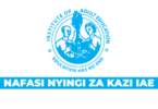 IAE New Vacancies July 2025