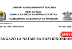 Kinondoni Municipal Council Vacancies July 2025