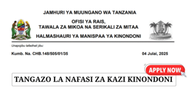 Kinondoni Municipal Council Vacancies July 2025