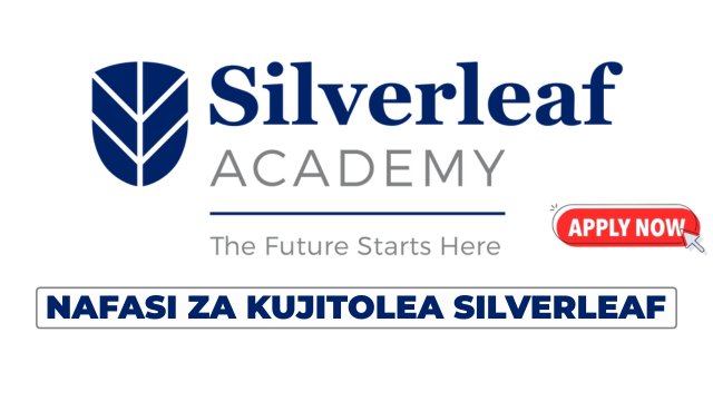 MEL Volunteer Specialist at Silverleaf Academy July 2025