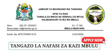 Mbulu Town Council Vacancies July 2025