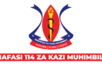 Muhimbili National Hospital (MNH) Vacancies July 2025