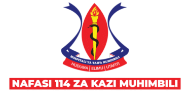 Muhimbili National Hospital (MNH) Vacancies July 2025