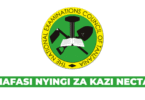 NECTA Job Vacancies 2025