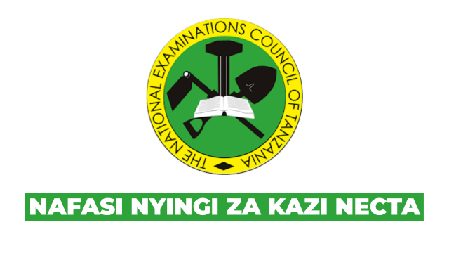 NECTA Job Vacancies 2025