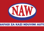 Nduvini Auto Works Ltd Vacancies July 2025