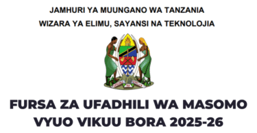 _SAMIA Scholarship Global Study Opportunities for Tanzanian Students in Data Science and AI 20252026