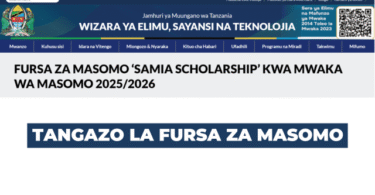Samia Scholarship Golden Opportunity for Tanzanian Students 20252026