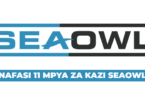 SeaOwl Group Tanzania Vacancies 2025
