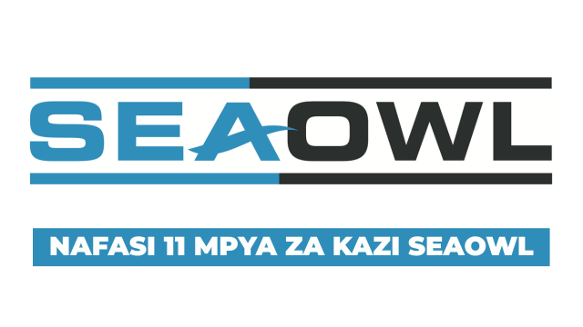 SeaOwl Group Tanzania Vacancies 2025