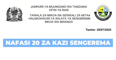 Sengerema District Council Job Vacancies July 2025