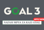 Service Coordinator at GOAL 3 July 2025