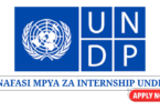 Communications Interns (2 Positions) at UNDP Tanzania July 2025
