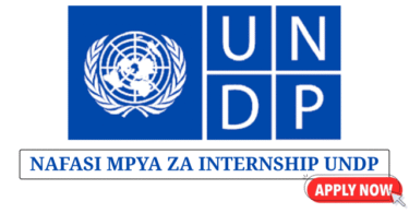 Communications Interns (2 Positions) at UNDP Tanzania July 2025