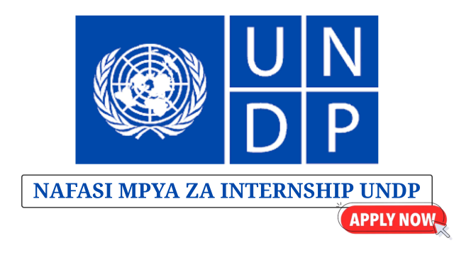 Communications Interns (2 Positions) at UNDP Tanzania July 2025