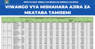 TAMISEMI – TMCHIP Contract Positions Salary Scale July 2025