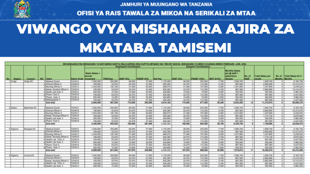 TAMISEMI – TMCHIP Contract Positions Salary Scale July 2025