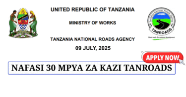 TANROADS 30 New Vacancies July 2025