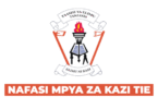 TIE New Vacancies July 2025
