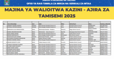 Tamisemi Call for Work Placement – TMCHIP Contract Jobs July 2025
