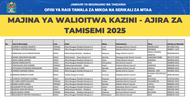 Tamisemi Call for Work Placement – TMCHIP Contract Jobs July 2025