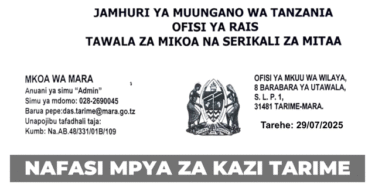 Tarime Town Council Vacancies July 2025