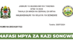 4 Driver at Songwe District Council August 2025