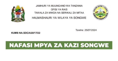 4 Driver at Songwe District Council August 2025