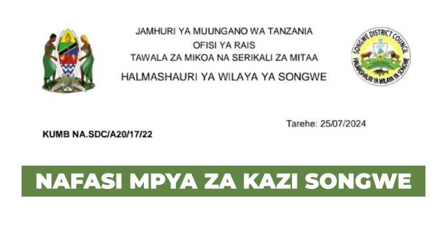 4 Driver at Songwe District Council August 2025