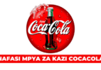 Coca-Cola Beverages Tanzania Vacancies 2025