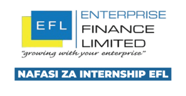 Credit Officer Intern at Enterprise Finance Limited (EFL) – August 2025