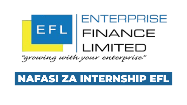 Credit Officer Intern at Enterprise Finance Limited (EFL) – August 2025