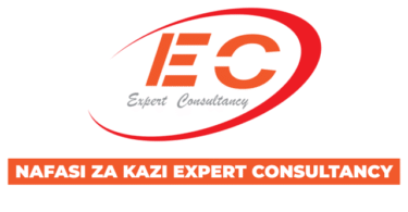 Expert Consultancy Job Opportunities August 2025