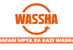 Human Resource Officer Job Vacancy at Wassha Inc. Tanzania – August 2025