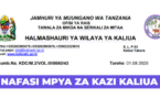 Kaliua District Council Vacancies August 2025