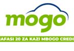 MOGO Credit Tanzania Vacancies 2025