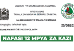 Mbinga District Council 12 Vacancies August 2025
