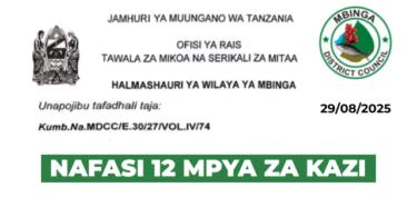 Mbinga District Council 12 Vacancies August 2025