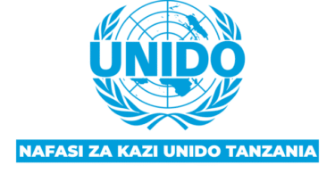 National Programme Officer at UNIDO Tanzania August 2025