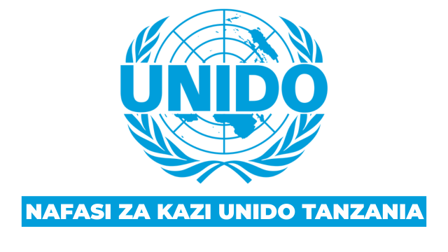 National Programme Officer at UNIDO Tanzania August 2025